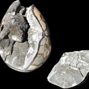 Stunning Septarian Dragon Stone cathedral geode 220*168*146mm 7980g Rocks and Things Store