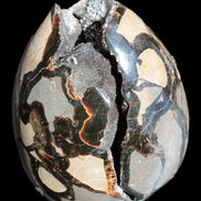 Stunning Septarian Dragon Stone cathedral geode 220*168*146mm 7980g Rocks and Things Store