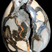 Stunning Septarian Dragon Stone cathedral geode 220*168*146mm 7980g Rocks and Things Store
