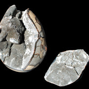 Stunning Septarian Dragon Stone cathedral geode 220*168*146mm 7980g Rocks and Things Store