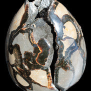 Stunning Septarian Dragon Stone cathedral geode 220*168*146mm 7980g Rocks and Things Store