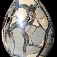 Stunning Septarian Dragon Stone cathedral geode 220*168*146mm 7980g Rocks and Things Store