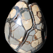 Stunning Septarian Dragon Stone cathedral geode 220*168*146mm 7980g Rocks and Things Store