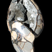Stunning Septarian Dragon Stone cathedral geode 220*168*146mm 7980g Rocks and Things Store