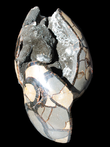 Stunning Septarian Dragon Stone cathedral geode 220*168*146mm 7980g Rocks and Things Store