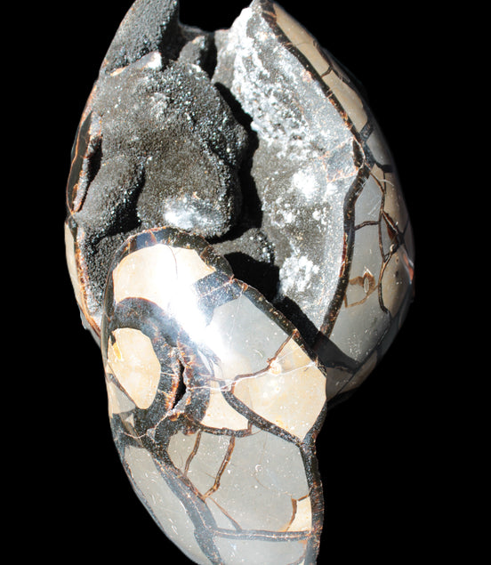 Stunning Septarian Dragon Stone cathedral geode 220*168*146mm 7980g Rocks and Things Store