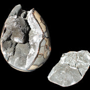 Stunning Septarian Dragon Stone cathedral geode 220*168*146mm 7980g Rocks and Things Store