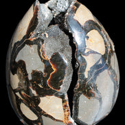 Stunning Septarian Dragon Stone cathedral geode 220*168*146mm 7980g Rocks and Things Store