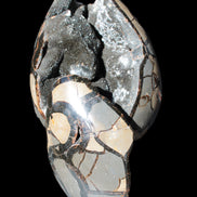 Stunning Septarian Dragon Stone cathedral geode 220*168*146mm 7980g Rocks and Things Store