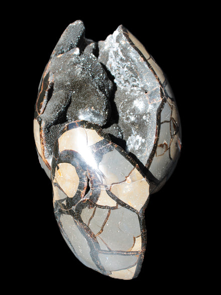 Stunning Septarian Dragon Stone cathedral geode 220*168*146mm 7980g Rocks and Things Store
