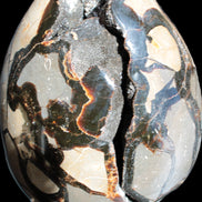 Stunning Septarian Dragon Stone cathedral geode 220*168*146mm 7980g Rocks and Things Store