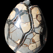 Stunning Septarian Dragon Stone cathedral geode 220*168*146mm 7980g Rocks and Things Store