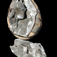 Stunning Septarian Dragon Stone cathedral geode 220*168*146mm 7980g Rocks and Things Store