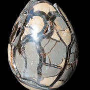 Stunning Septarian Dragon Stone cathedral geode 220*168*146mm 7980g Rocks and Things Store