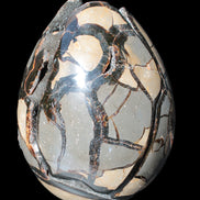 Stunning Septarian Dragon Stone cathedral geode 220*168*146mm 7980g Rocks and Things Store