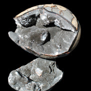 Stunning Septarian Dragon Stone cathedral geode 220*168*146mm 7980g Rocks and Things Store