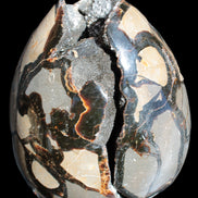 Stunning Septarian Dragon Stone cathedral geode 220*168*146mm 7980g Rocks and Things Store