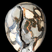 Stunning Septarian Dragon Stone cathedral geode 220*168*146mm 7980g Rocks and Things Store