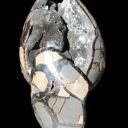 Stunning Septarian Dragon Stone cathedral geode 220*168*146mm 7980g Rocks and Things Store