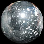 Massive Orthoceras sphere 195mm 10860g Rocks and Things Store