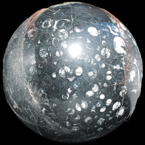 Massive Orthoceras sphere 195mm 10860g Rocks and Things Store