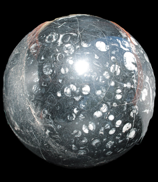 Massive Orthoceras sphere 195mm 10860g Rocks and Things Store