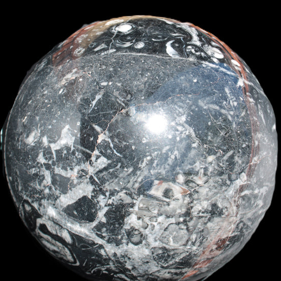 Massive Orthoceras sphere 195mm 10860g Rocks and Things Store