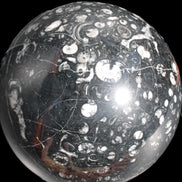 Massive Orthoceras sphere 195mm 10860g Rocks and Things Store