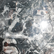 Massive Orthoceras sphere 195mm 10860g Rocks and Things Store