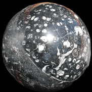 Massive Orthoceras sphere 195mm 10860g Rocks and Things Store