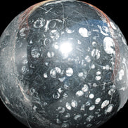 Massive Orthoceras sphere 195mm 10860g Rocks and Things Store