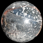 Massive Orthoceras sphere 195mm 10860g Rocks and Things Store