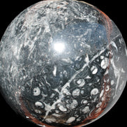 Massive Orthoceras sphere 195mm 10860g Rocks and Things Store