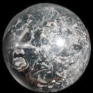 Massive Orthoceras sphere 195mm 10860g Rocks and Things Store