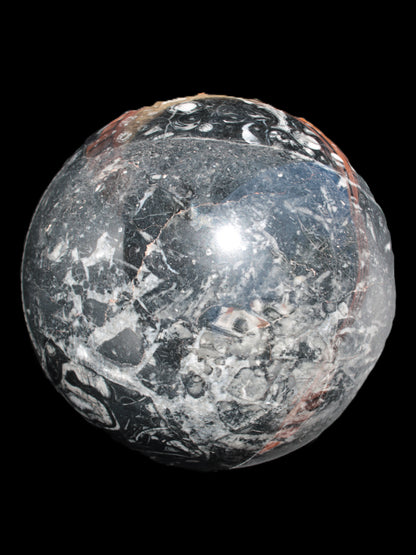 Massive Orthoceras sphere 195mm 10860g Rocks and Things Store