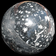 Massive Orthoceras sphere 195mm 10860g Rocks and Things Store