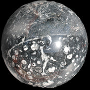 Massive Orthoceras sphere 195mm 10860g Rocks and Things Store