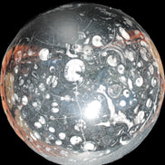 Massive Orthoceras sphere 195mm 10860g Rocks and Things Store