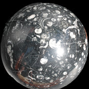 Massive Orthoceras sphere 195mm 10860g Rocks and Things Store