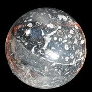 Massive Orthoceras sphere 195mm 10860g Rocks and Things Store