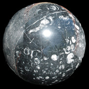 Massive Orthoceras sphere 195mm 10860g Rocks and Things Store