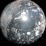 Massive Orthoceras sphere 195mm 10860g Rocks and Things Store