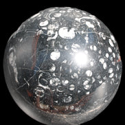 Massive Orthoceras sphere 195mm 10860g Rocks and Things Store