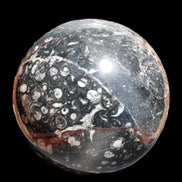 Massive Orthoceras sphere 195mm 10860g Rocks and Things Store