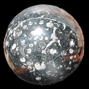 Massive Orthoceras sphere 195mm 10860g Rocks and Things Store