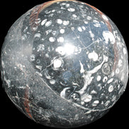 Massive Orthoceras sphere 195mm 10860g Rocks and Things Store