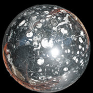 Massive Orthoceras sphere 195mm 10860g Rocks and Things Store