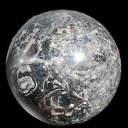 Massive Orthoceras sphere 195mm 10860g Rocks and Things Store