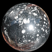 Massive Orthoceras sphere 195mm 10860g Rocks and Things Store