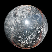 Massive Orthoceras sphere 195mm 10860g Rocks and Things Store